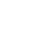 Professional Construction Team