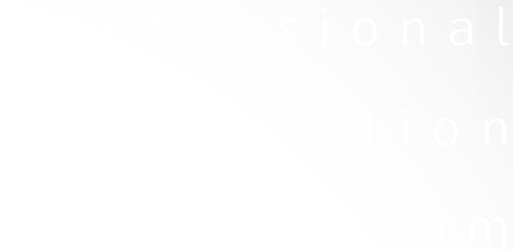 Professional Construction Team